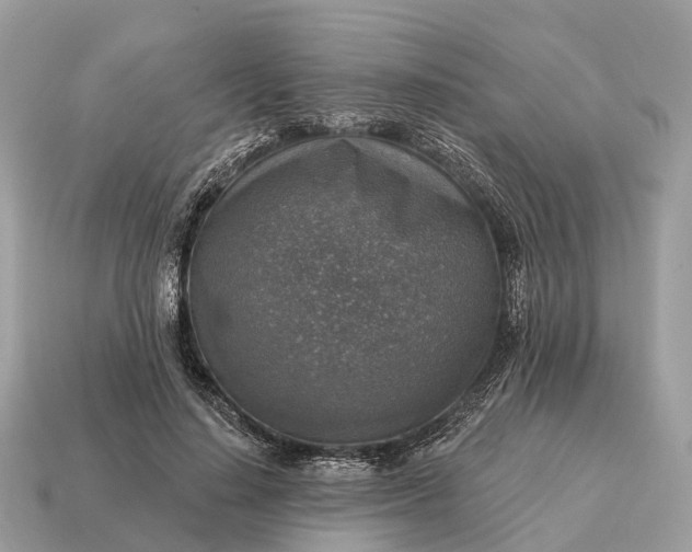 X0000115130644200911101648