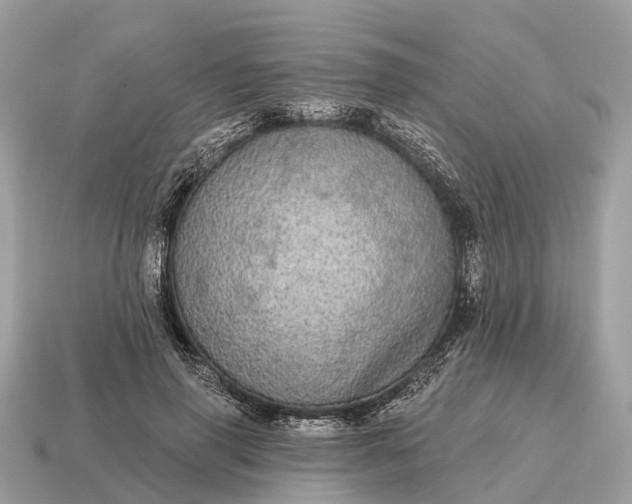 X0000115130645200911101648