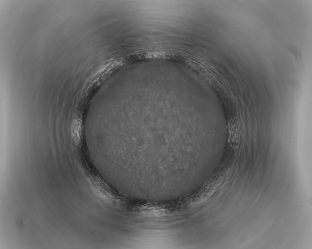 X0000115130648200911101648