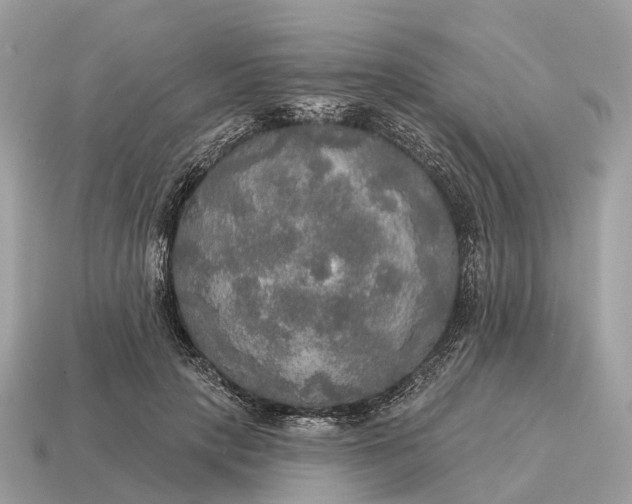 X0000115130649200911101648