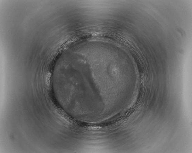 X0000115130650200911101648