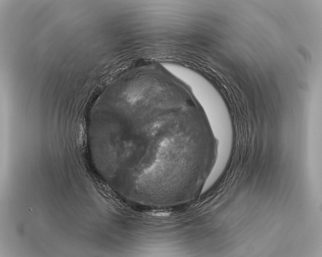 X0000115130651200911101648