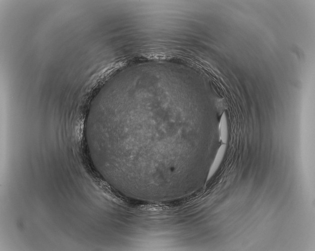 X0000115130652200911101648