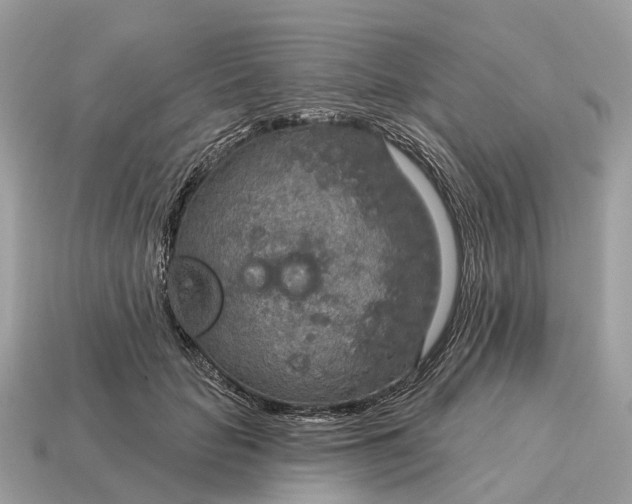 X0000115130653200911101648