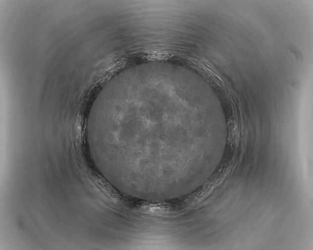 X0000115130655200911101648