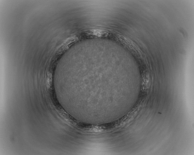 X0000115130656200911101648