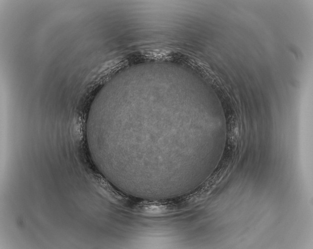 X0000115130658200911101648
