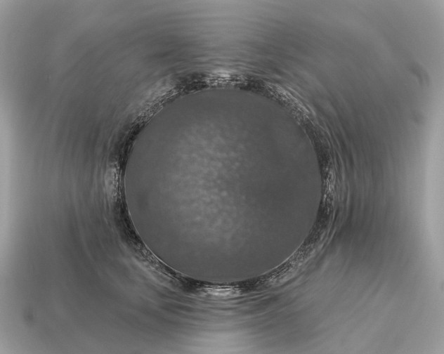 X0000115130659200911101648