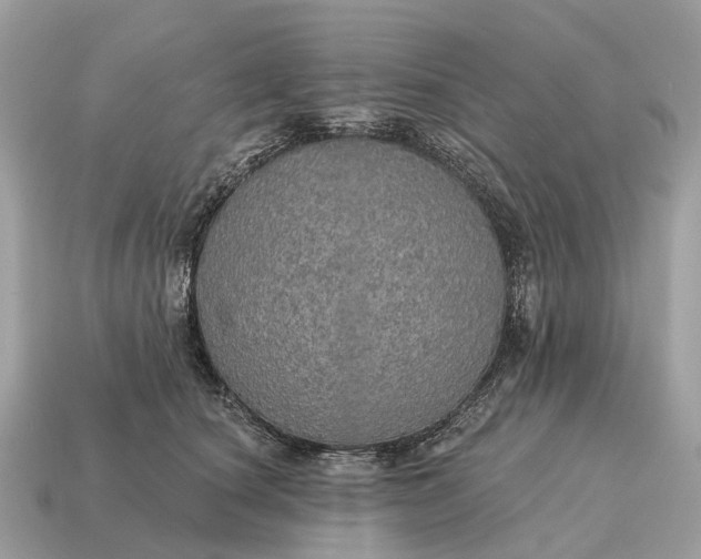 X0000115130660200911101648