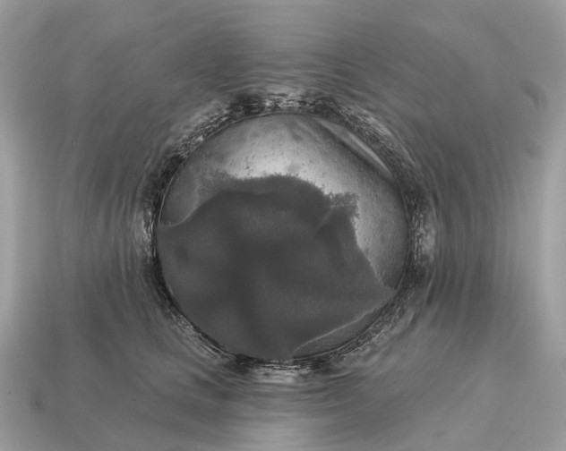 X0000115130661200911101648