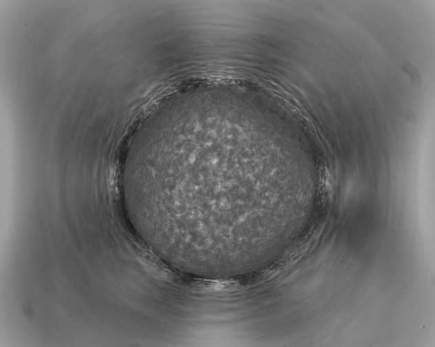 X0000115130663200911101648