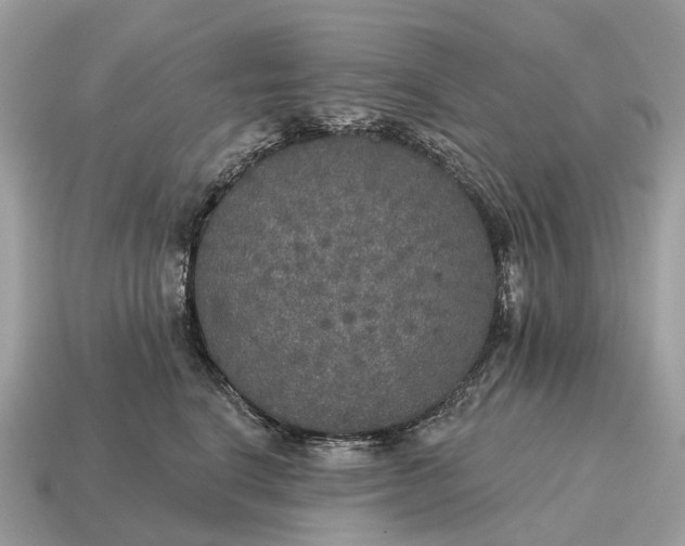 X0000115130664200911101648