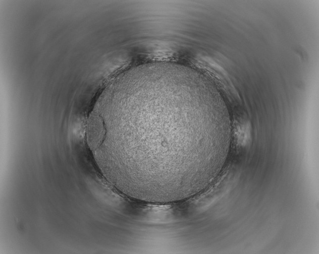 X0000115130665200911101648