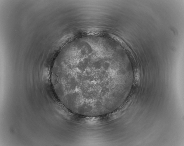 X0000115130667200911101648