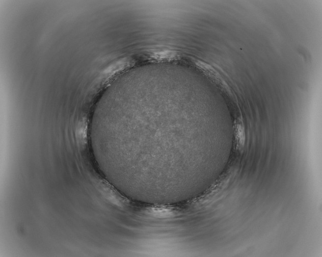 X0000115130668200911101648