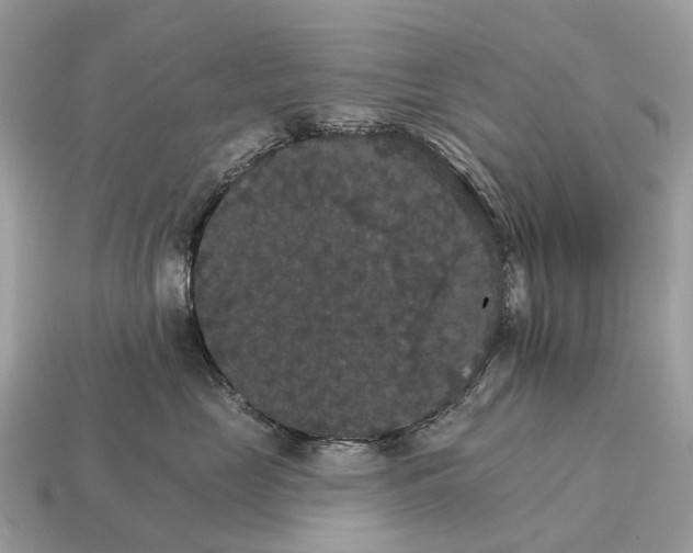 X0000115130669200911101648