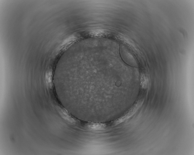 X0000115130670200911101648
