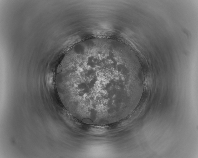 X0000115130671200911101648