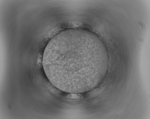 X0000115130672200911101648