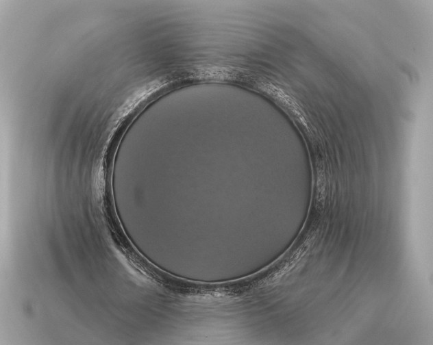 X0000115130674200911101647