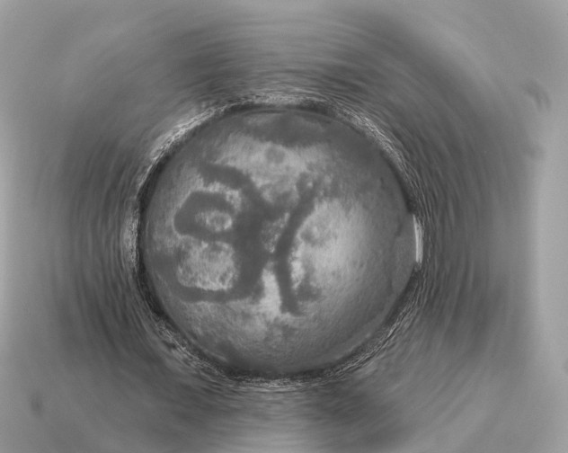X0000115130675200911101647