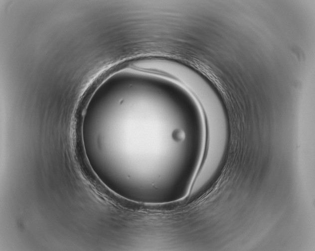 X0000115130676200911101647