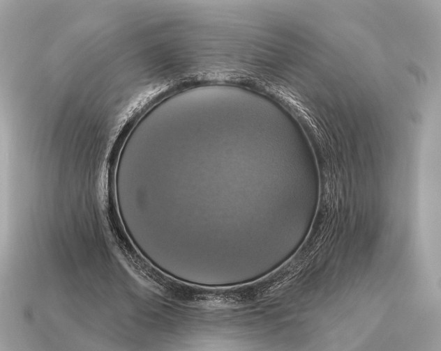 X0000115130678200911101647