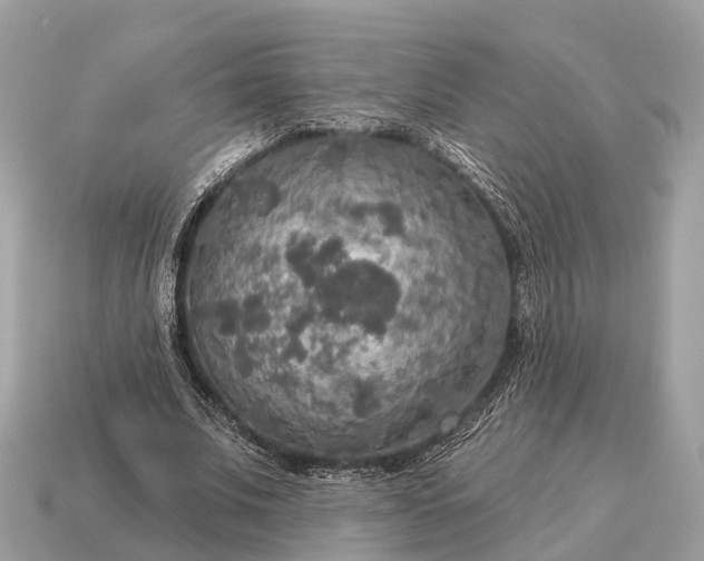 X0000115130679200911101647
