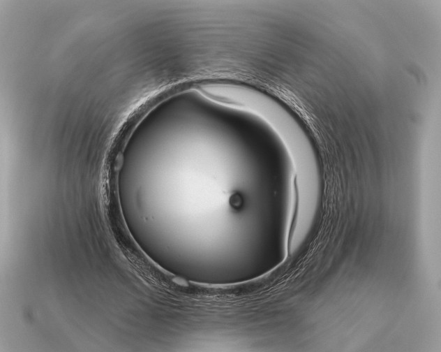 X0000115130680200911101647