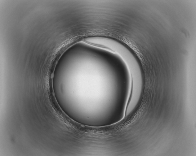 X0000115130681200911101647