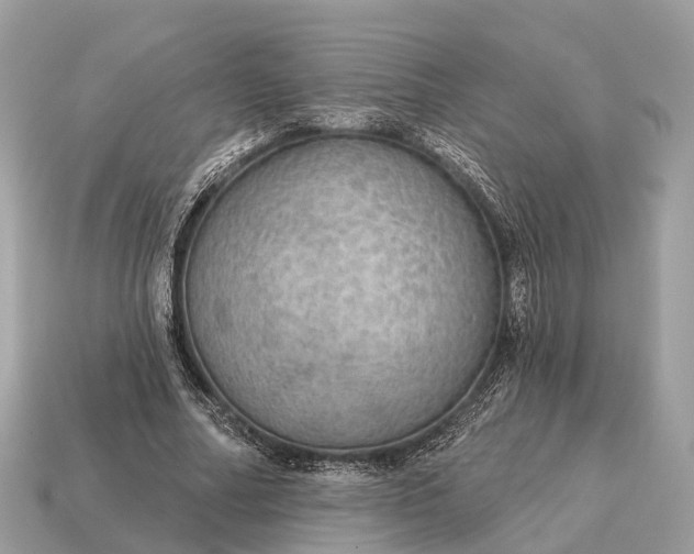 X0000115130682200911101647