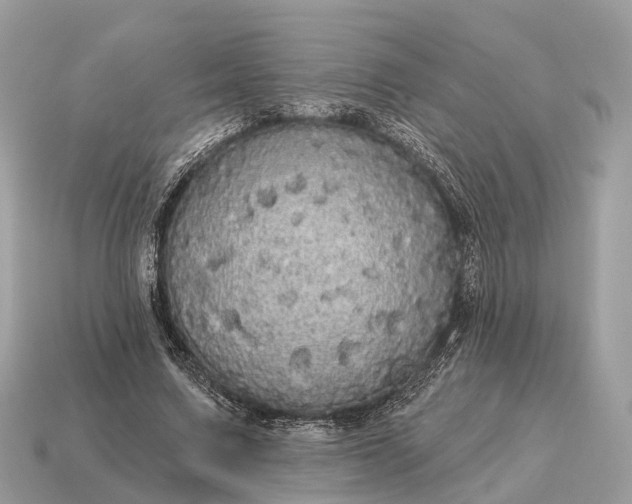 X0000115130683200911101647