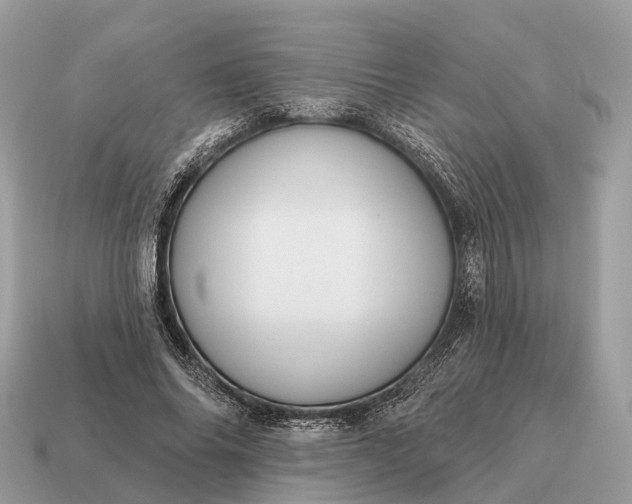 X0000115130686200911101647