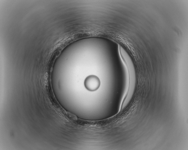 X0000115130689200911101647