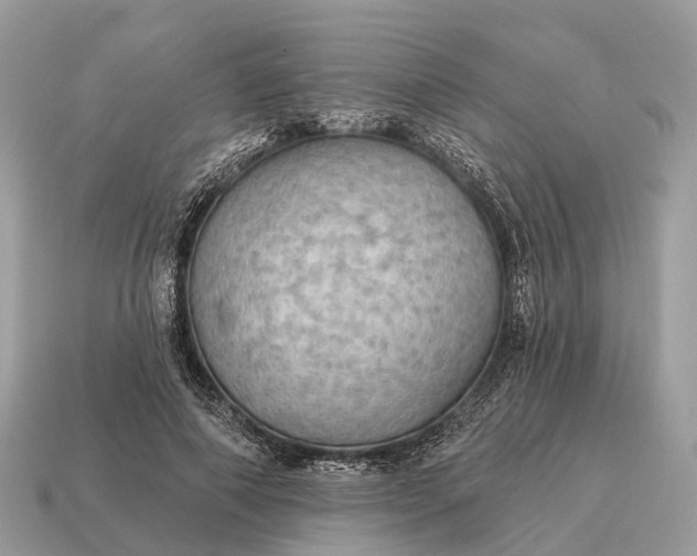 X0000115130690200911101647