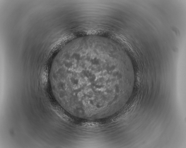 X0000115130691200911101647
