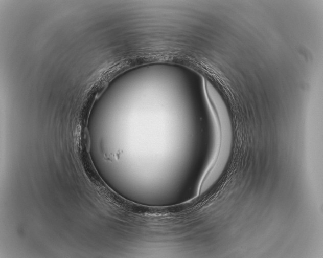 X0000115130693200911101647