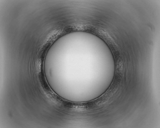 X0000115130694200911101647