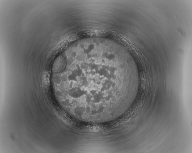 X0000115130695200911101647