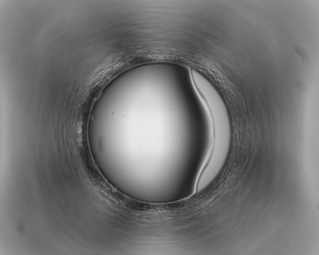 X0000115130696200911101647
