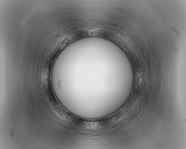 X0000115130698200911101647