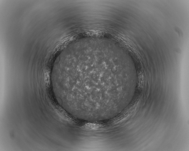 X0000115130699200911101647