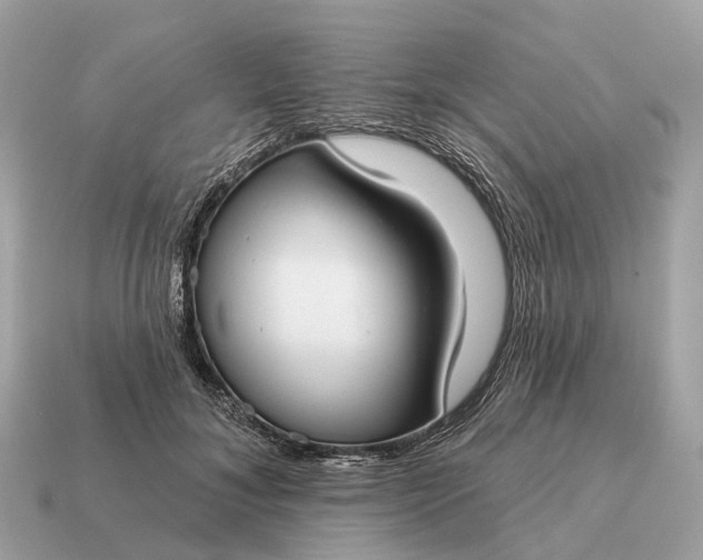 X0000115130700200911101647