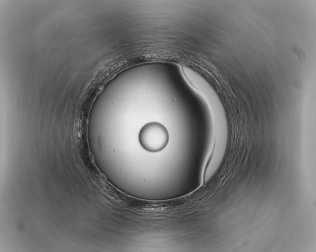 X0000115130701200911101647