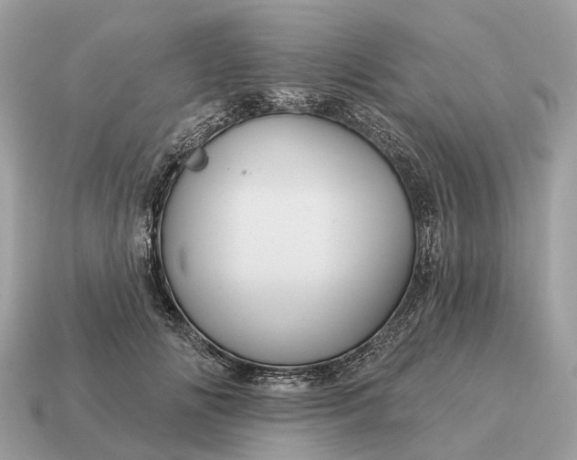 X0000115130702200911101647