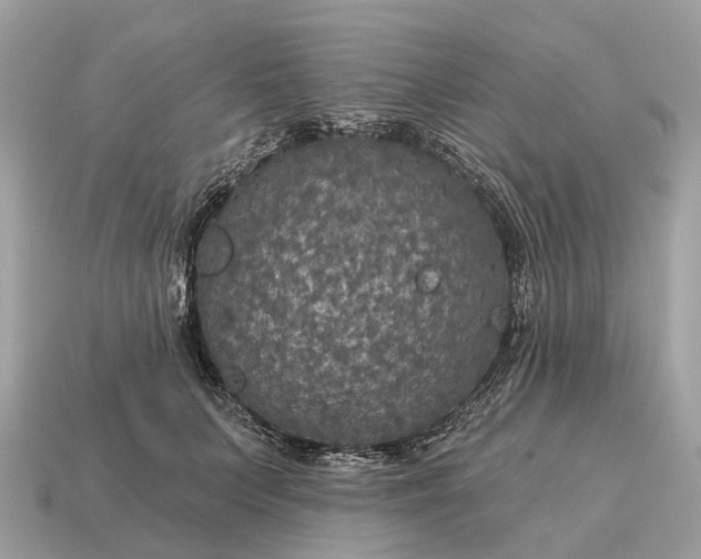 X0000115130703200911101647