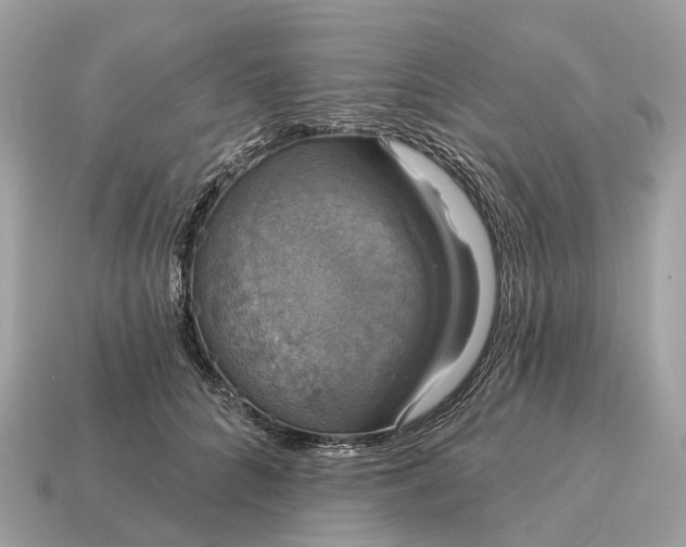 X0000115130704200911101647