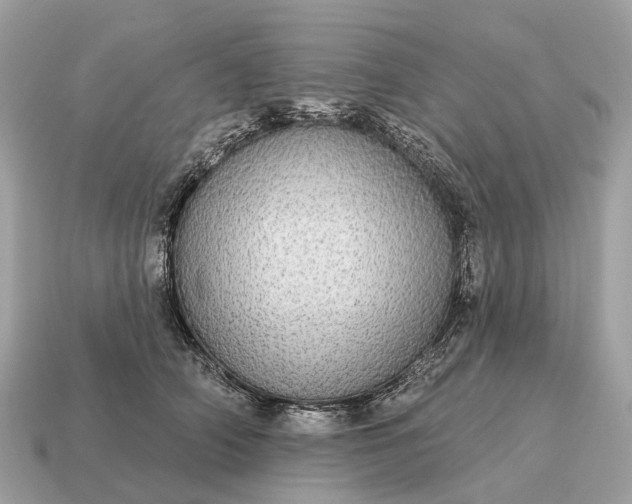 X0000115130706200911101647
