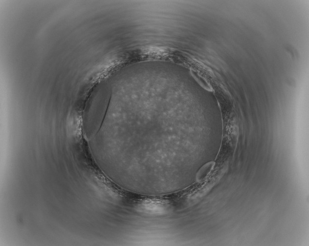 X0000115130708200911101647