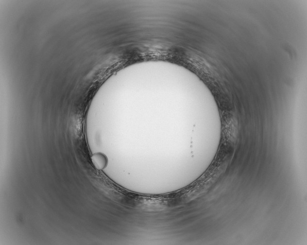 X0000115130709200911101647